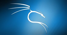 Cách cập nhật Kali Linux và sửa lỗi khi cập nhật