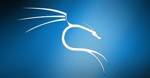 Cách cập nhật Kali Linux và sửa lỗi khi cập nhật