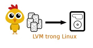 Cách mã hóa phân vùng LVM khi cài đặt Kali Linux