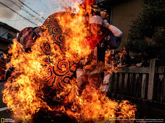 Tải ngay bộ hình nền độc đáo về khung cảnh cuộc sống do kênh truyền hình National Geographic cung cấp 11