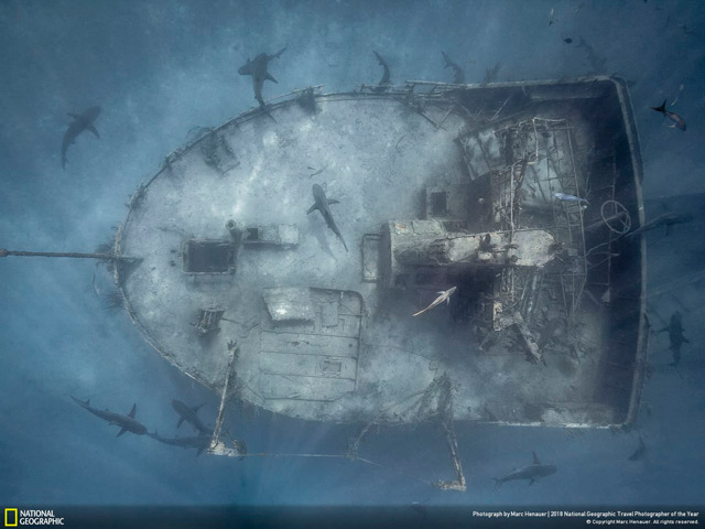 Tải ngay bộ hình nền độc đáo về khung cảnh cuộc sống do kênh truyền hình National Geographic cung cấp 12