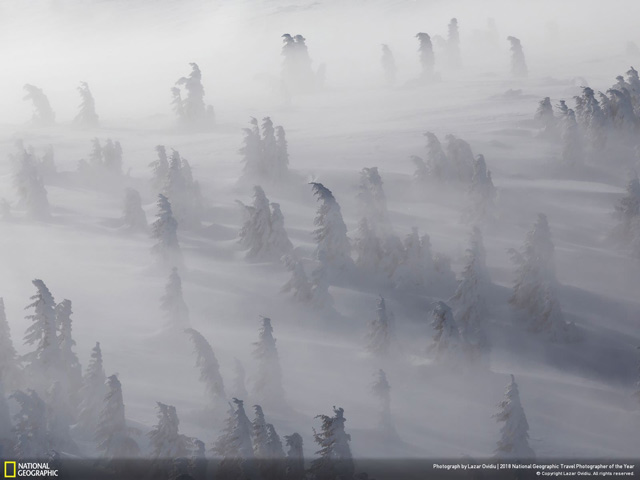 Tải ngay bộ hình nền độc đáo về khung cảnh cuộc sống do kênh truyền hình National Geographic cung cấp 13