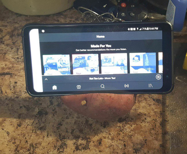Khoai tây trở thành giá đỡ smartphone 