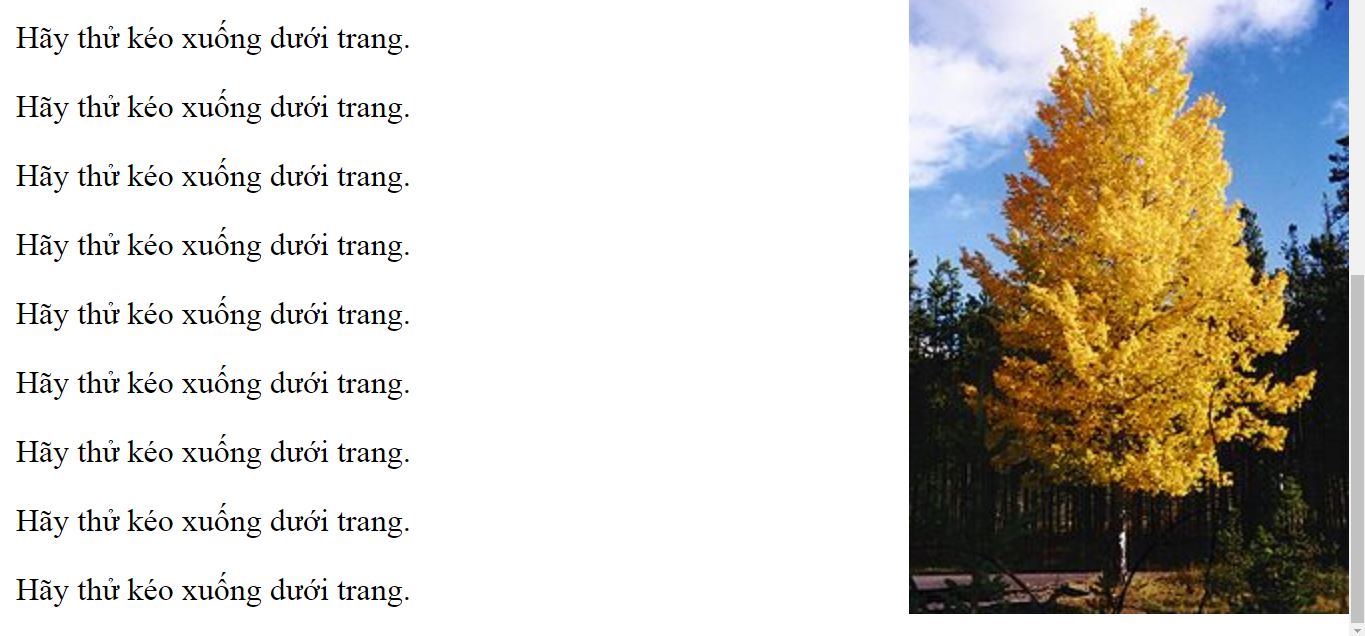 Vị trí ảnh không thay đổi