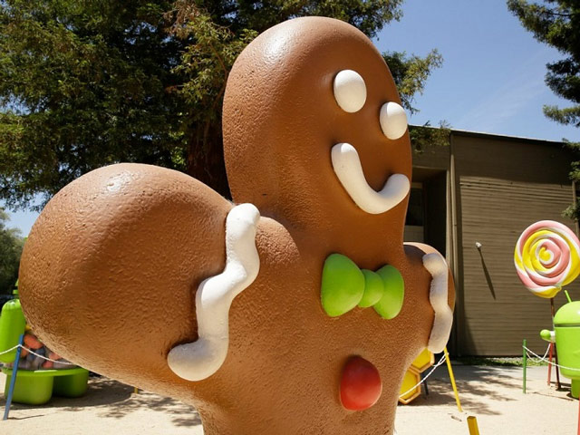 Quản lý tài chính cấp cao