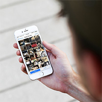 Cách bật tính năng iCloud Photo Sharing trên iPhone, iPad, Mac và Windows