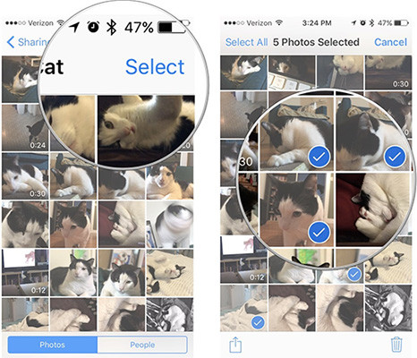 Chọn ảnh muốn xóa trên album Family