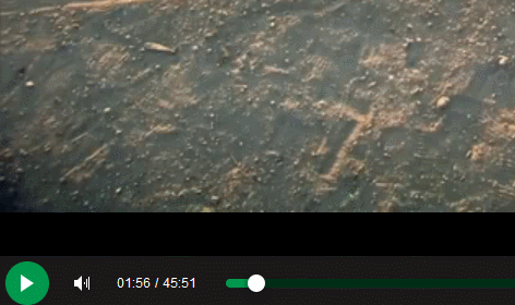 Khối người sẽ đập máy với giao diện này đây