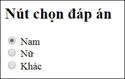 Hình ảnh hiển thị trên trình duyệt