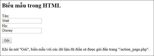 Hình ảnh hiển thị trên trình duyệt