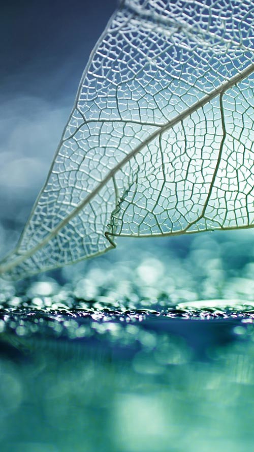 Sở hữu ngay bộ ảnh nền chủ đề tổng hợp dành cho smartphone 20