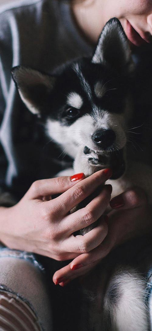 Sở hữu ngay bộ ảnh nền chủ đề tổng hợp dành cho smartphone 26