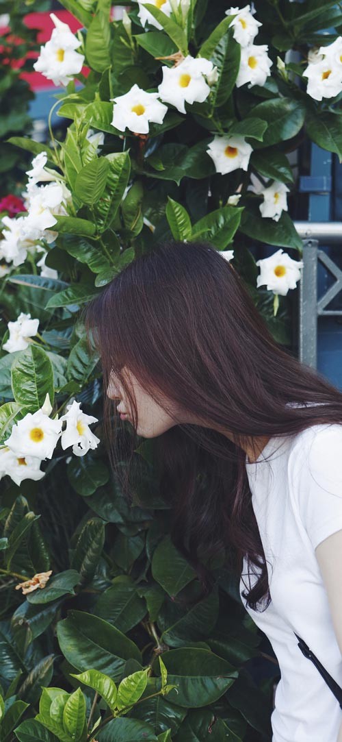 Sở hữu ngay bộ ảnh nền chủ đề tổng hợp dành cho smartphone 28