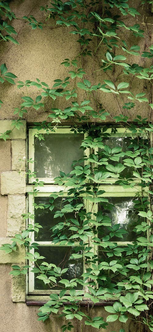 Sở hữu ngay bộ ảnh nền chủ đề tổng hợp dành cho smartphone 29