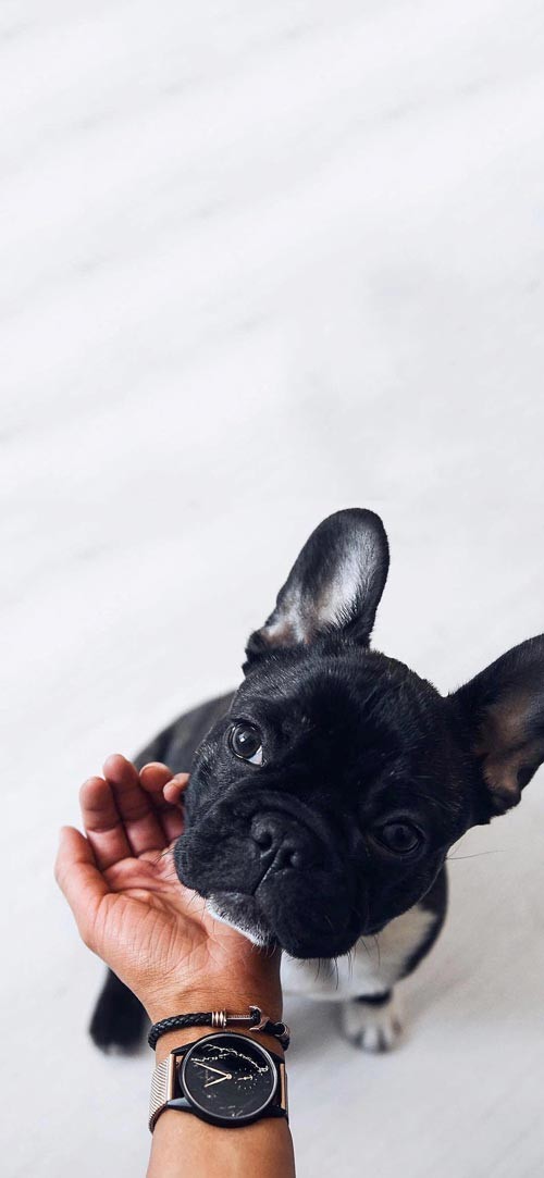 Sở hữu ngay bộ ảnh nền chủ đề tổng hợp dành cho smartphone 30