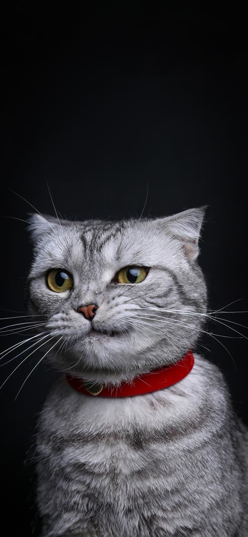 Sở hữu ngay bộ ảnh nền chủ đề tổng hợp dành cho smartphone 38