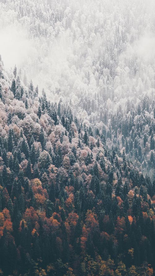 Sở hữu ngay bộ ảnh nền chủ đề tổng hợp dành cho smartphone 9