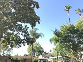 Ảnh phong cảnh không chụp ở chế độ HDR