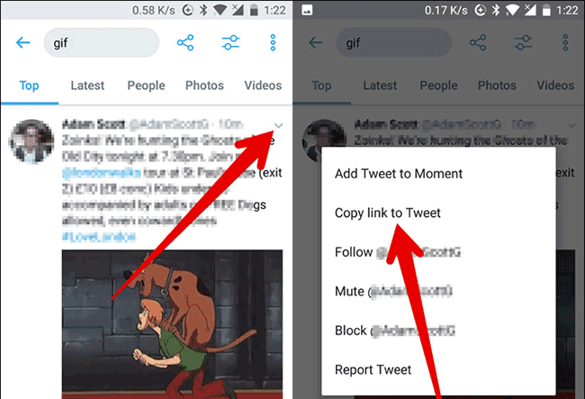 Tìm ảnh GIF cần tải
