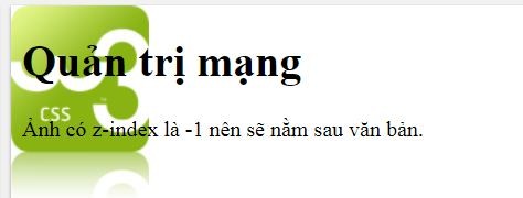 Đặt thứ tự hiển thị cho các phần tử 