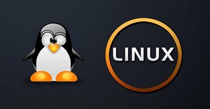 Cách sao chép và đổi tên file trong Linux