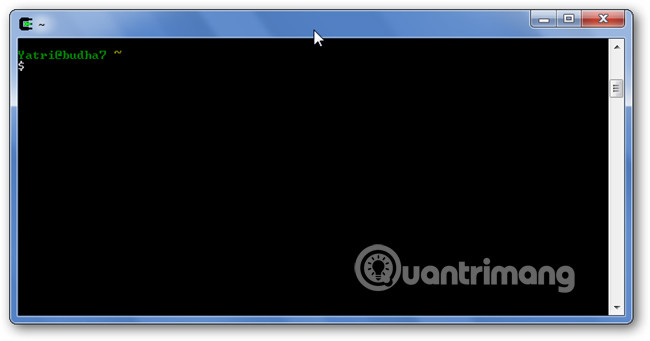 Cửa sổ Cygwin trống xuất hiện