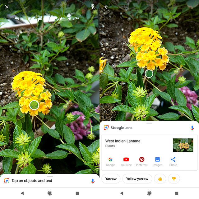 Google Lens cung cấp đề xuất bằng văn bản