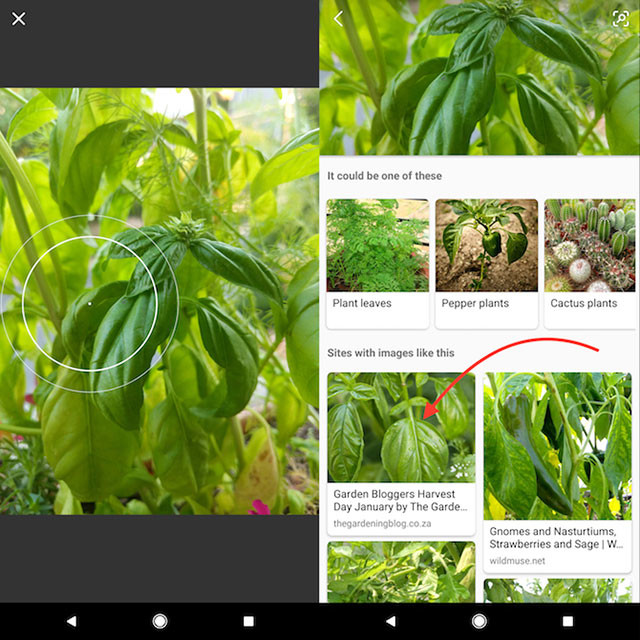 Hình ảnh kết quả của Bing