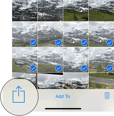 Select a photo and tap share