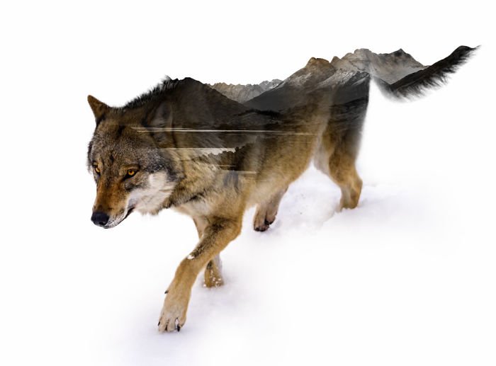 Chiêm ngưỡng bộ hình nền phơi sáng kép tuyệt đẹp 29