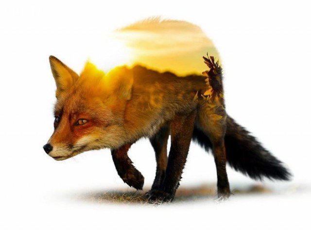 Chiêm ngưỡng bộ hình nền phơi sáng kép tuyệt đẹp 36