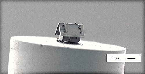 Ngôi nhà nhỏ nhất thế giới quan sát dưới kính hiển vi