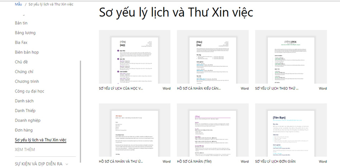 Template Sơ Yếu lý lịch