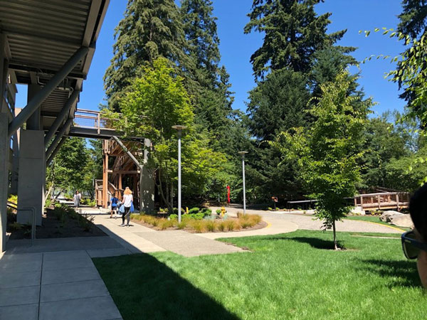 Nếu không biết trước thì có lẽ bạn sẽ không thể nhận ra có những ngôi nhà trên cây