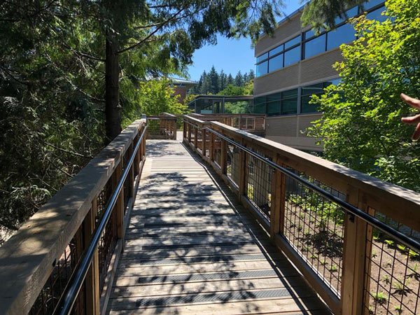 Sau khi tham quan xong ngôi nhà thứ nhất, bạn có thể xuống mặt đất bằng con đường gỗ 