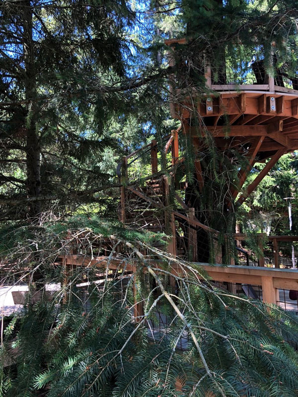 Để lên ngôi nhà trên cây số 2 bạn phải leo lên một cầu thang xoắn ốc