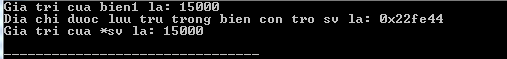 Cách sử dụng con trỏ trong C /C++