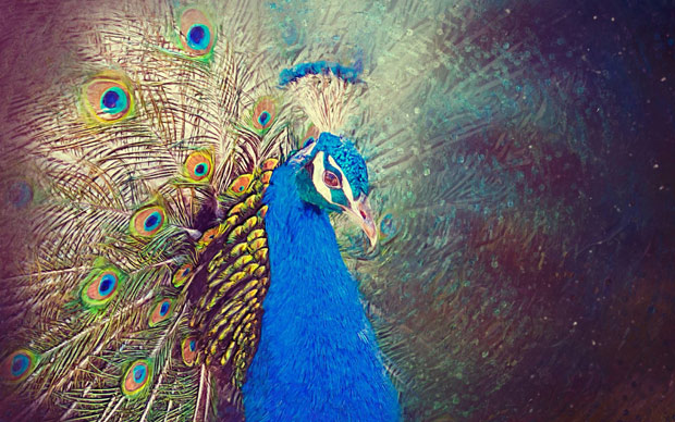 Ảnh nền cho Windows 10 3