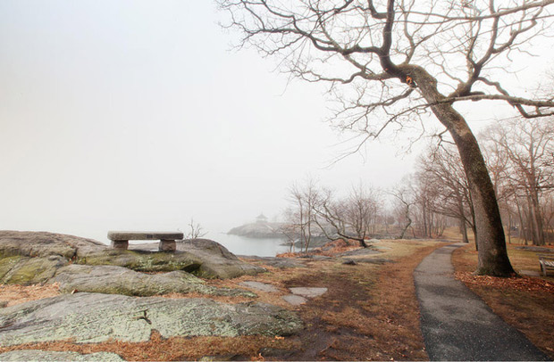 Bức hình AI đã dùng để viết nên bài thơ