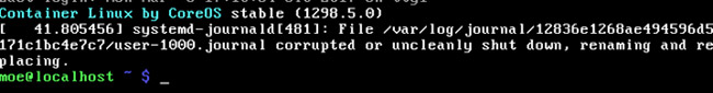 Container Linux là gì? Có nên sử dụng nó không?