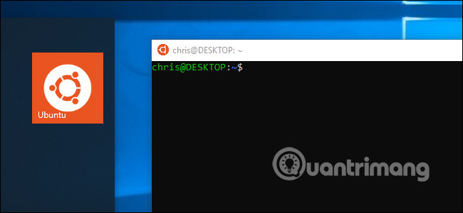 Bash shell