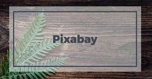 Cách tải nhiều ảnh cùng lúc trên Pixabay