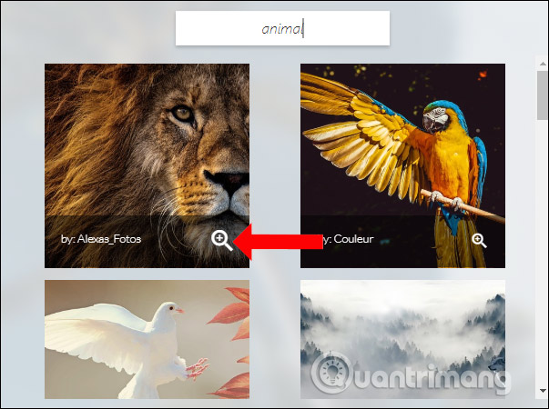 Phóng to hình ảnh