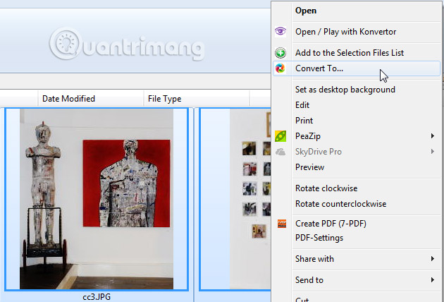 Định dạng đa dạng