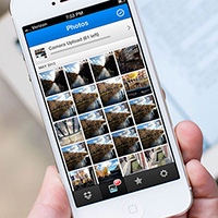 Cách tải ảnh từ Dropbox về iPhone, iPad hoặc Mac
