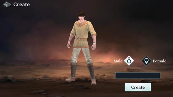 Trước khi bắt đầu chơi, các game thủ sẽ phải lựa chọn một trong hai loại hình nhân vật