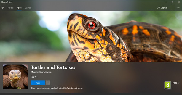 Turtles and Tortoises