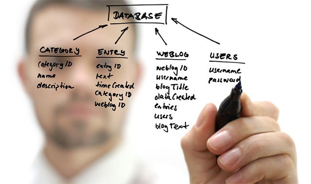 Nhà phát triển cơ sở dữ liệu