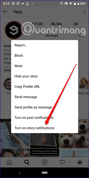 Chọn Turn on story notifications