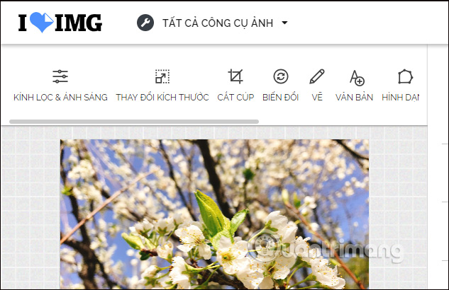 Biên tập hình ảnh